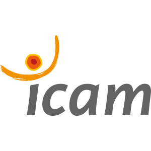 Logo ICAM Toulouse
